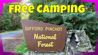 Free Dispersed Camping Gifford Pinchot National Forest along NF RD 2305