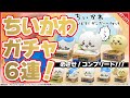 【ちいかわガチャ】６連でコンプできる？いっしょにがんばろダンボールウォッチ