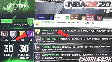 *NEW* NBA 2K20 BADGE GLITCH!4X BADGE POINTS!FASTEST WAY TO GET HOF BADGES!