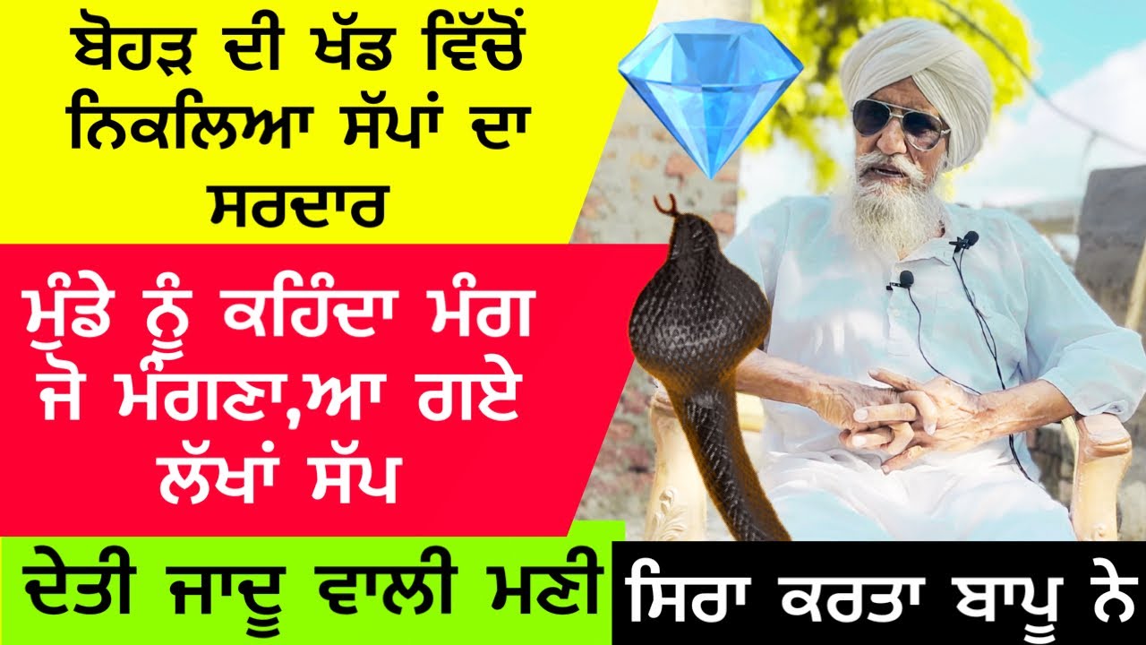 ਬੋਹੜ ਦੀ ਖੱਡ ਵਿੱਚੋਂ ਨਿਕਲਿਆ ਸੱਪਾਂ ਦਾ ਸਰਦਾਰ,ਮੁੰਡੇ ਨੂੰ ਕਹਿੰਦਾ ਮੰਗ ਜੋ ਮੰਗਣਾ,ਆ ਗਏ ਲੱਖਾਂ ਸੱਪ