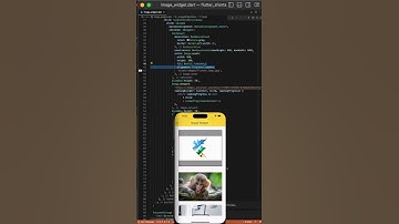 Flutter image widget