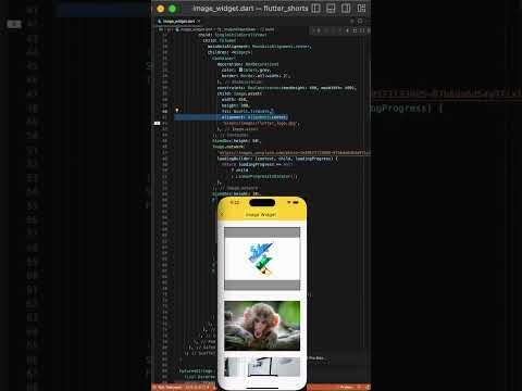 Flutter image widget