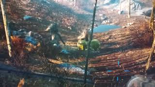 Two Deathclaw attacking each other in fallout 4