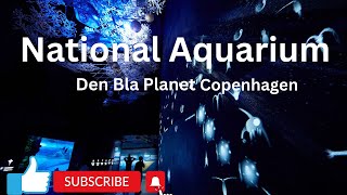National Aquarium Den Bla Planet || Mysterious Underwater World