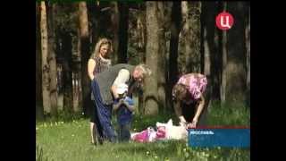 Насекомые объявили человеку войну Насекомые объявили человеку войну