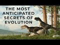 Unbelievable Animal Evolution Facts You Never Knew!