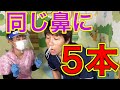 【鼻綿棒】同じ鼻の穴に何本入るかを試したら限界を超えた