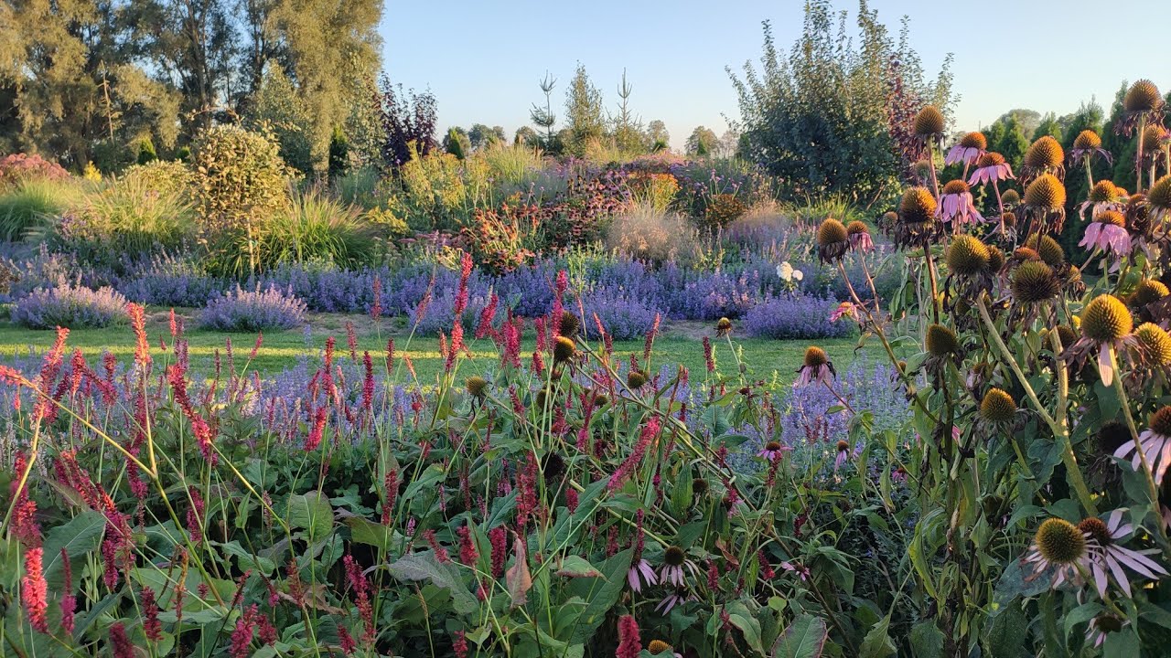 Już wrzesień 🌸🌾🌸 Nowa mini-rabata na zakończenie lata🌞