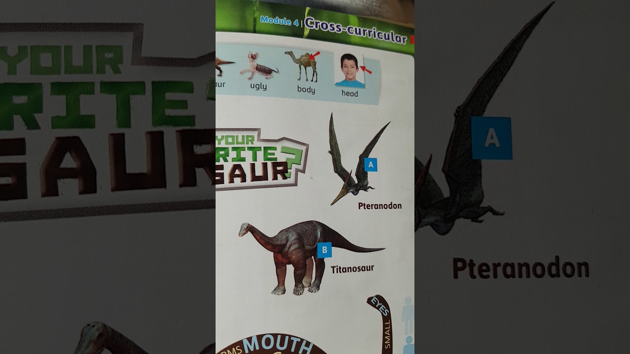 What's your favourite dinosaur? 3.a YouTube