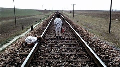 映画『ミツバチのささやき』一人の少女が体験する現実と空想の交錯した世界を繊細に描き出した作品。