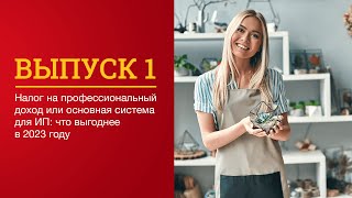 «Я сам!» – давайте разбираться в налоговых новшествах для ИП, самозанятых и фрилансеров вместе!