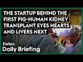 The Startup Behind The First Pig-Human Kidney Transplant &#39;Eyes&#39; Hearts And Livers Next