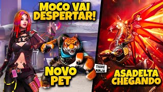 HABILIDADE MOCO DESPERTAR, PET TIGRE E NOVOS PERSONAGENS!MODO 1X1 NA ATUALIZAÇÃO CONFIRA