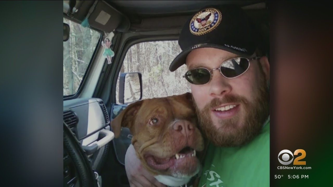 Veteran says Santos took money from fundraiser for dying dog