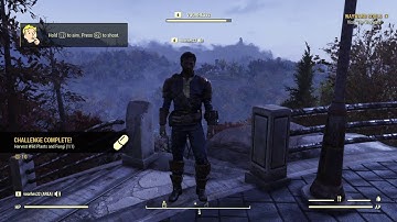 Fallout 76 "Jesus your face"