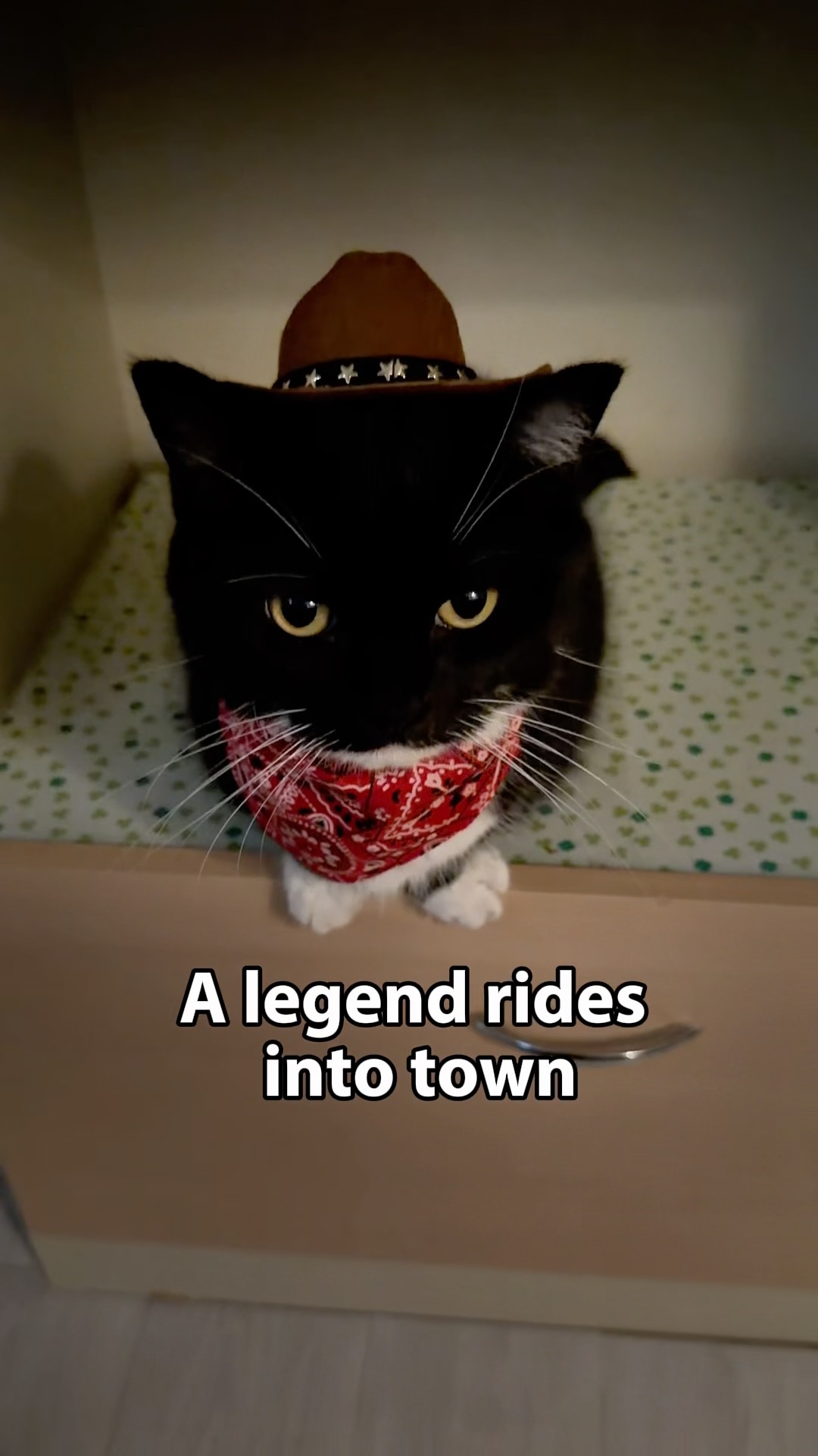 Lone Rider - YouTube