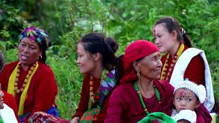 Phool Dali Maa New Kauda Song Shooting Report