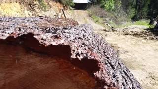 Sugar Pine part 4 (decked logs)