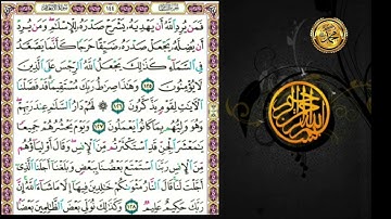 سورة الأنعام                                      صفقة ١٤٤  🗓منالأية ( ١٢٥ ) إلى الأية( ١٣١)