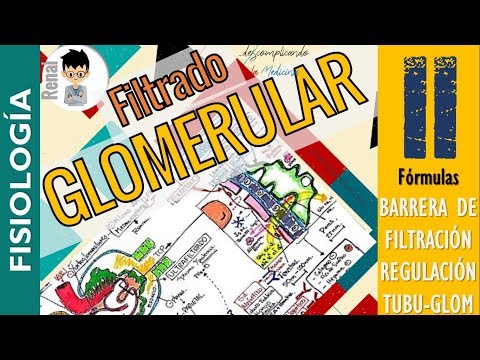 FILTRADO GLOMERULAR, REGULACIÓN