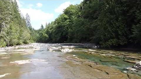 EPIC DRONE CRASH!! DJi Mavic Mini crashes hard into trees.