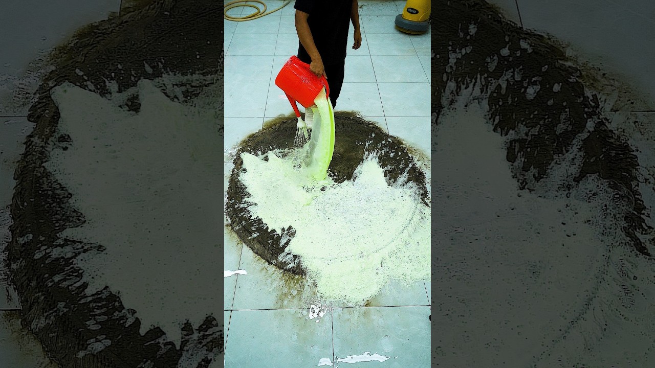 Ultimate DIRTY Carpet Transformation 