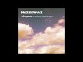 Gate B | Breezewax