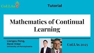 Famous Mathematics of Continual Learning - Liangzu Peng René Vidal - CoLLAs 2025 Profile