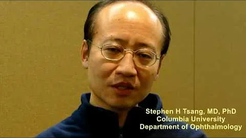 Stephen H. Tsang, MD, PhD