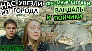 Vkog Куда нас увезли?? Я такого еще не видела! Огромные собаки. Старые дворы. Мцхета. Тбилиси. Vkog Куда нас увезли?? Я такого еще не видела! Огромные собаки. Старые дворы. Мцхета. Тбилиси.
