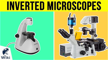 10 Best Inverted Microscopes 2019