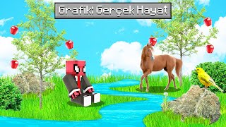 Gerçek Hayat Zorluk Sevi̇yesi̇ - Minecraft