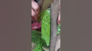 Smart technique of cutting leaves with a sharp cleaver  #shorts