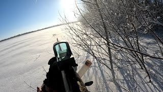 Загонная охота на зайца русака в Самарской области, сезон 2024.