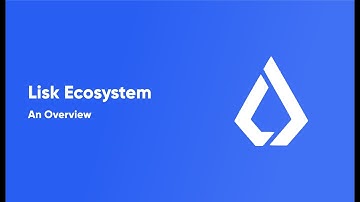 Lisk - An overview