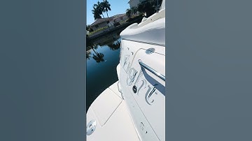 2007 Sea Ray 280 Sundancer | Blue Top Yachting