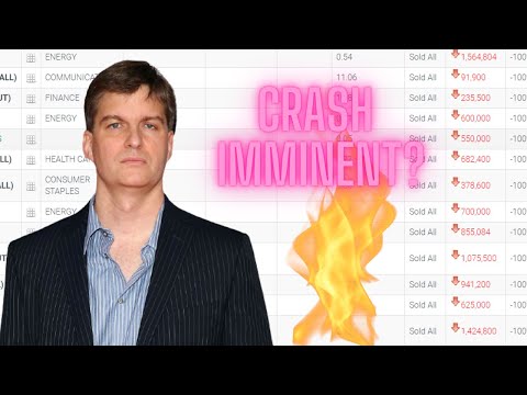 Michael Burry Has Gone Full Stock Market Crash Defensive Portfolio!