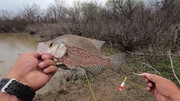 2023 Crappie fishing in the Creeks!