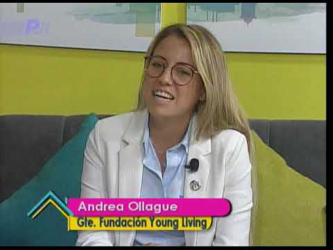 Vida y Bienestar: Responsabilidad social empresarial en la educación 