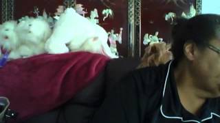 Capture 20120906 2