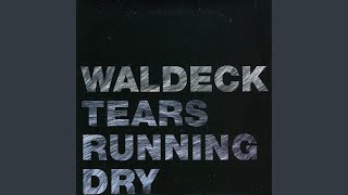 Tears Running Dry (Herbert's Level Dub)