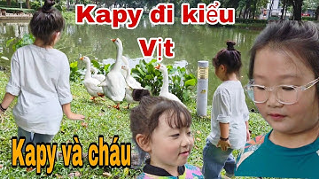 KAPY BẮT CHƯỚC KIỂU ĐI CỦA VỊT /CÙNG CHÁU DẠO CÔNG VIÊN