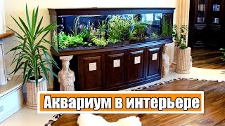 Аквариум в интерьере помещений (слайд-шоу из 31 фотографии) Аквариум в интерьере помещений (слайд-шоу из 31 фотографии)