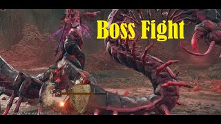 Romina, Saint of the Bud Boss Fight | Shadow of the Erd Tree DLC | Elden Ring