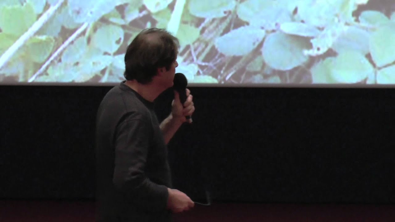Alain Canet  - Arbre champêtre, source de fertilité et pilier de l'agriculture