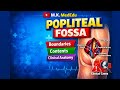 MBBS 1st Year Anatomy Important Topics Popliteal fossa (Boundaries Content Clinical Anatomy)#tech 