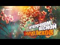 Тимур Лехов - Вечерочком весной | Премьера трека 2019