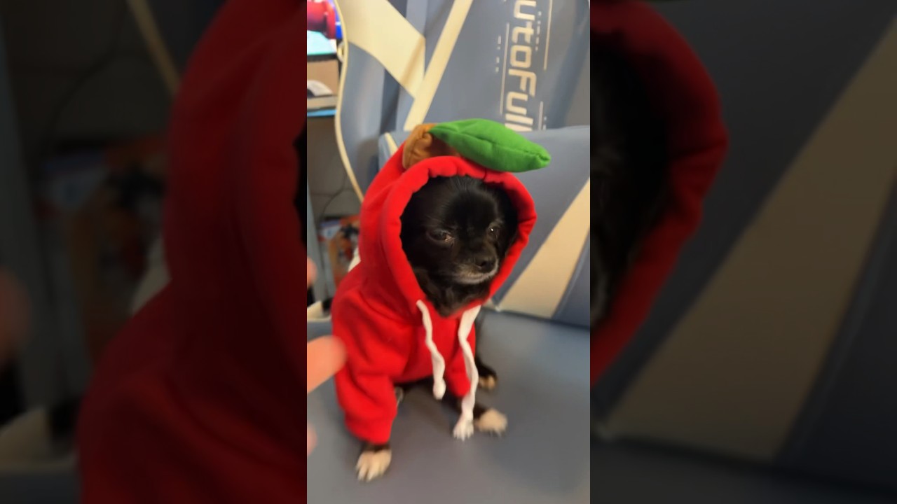 Apple Slide Fortnite Puddin 🍎🛝