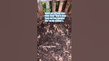 Community Composting #short #compost #composting #garden #gardening #compostpile #soil #diycompost