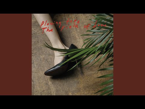 The Lord's Favorite - Iceage